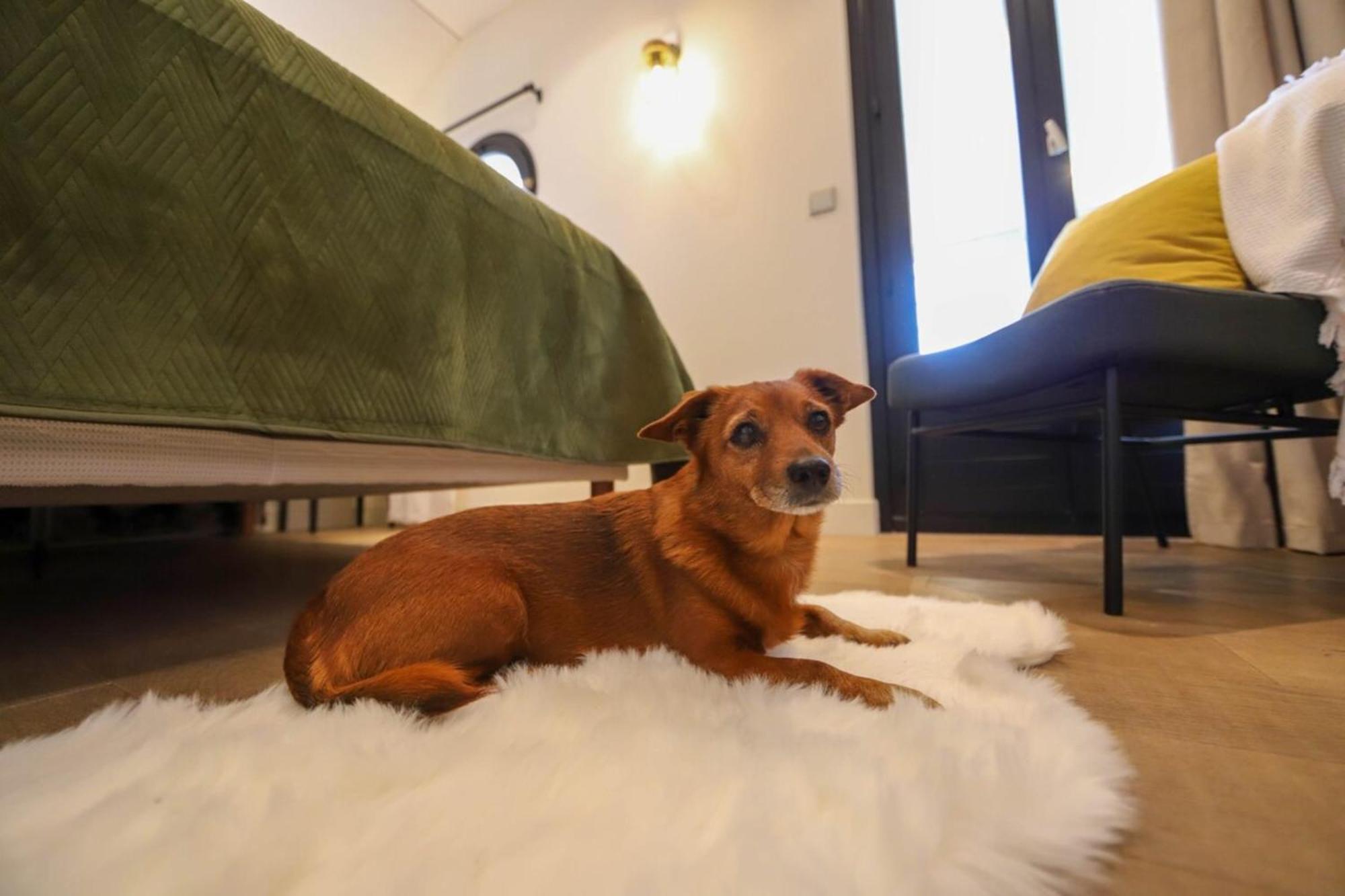 Apartament Chez Maminou - 8 Couchages Parking Proche Centre Annecy Zewnętrze zdjęcie